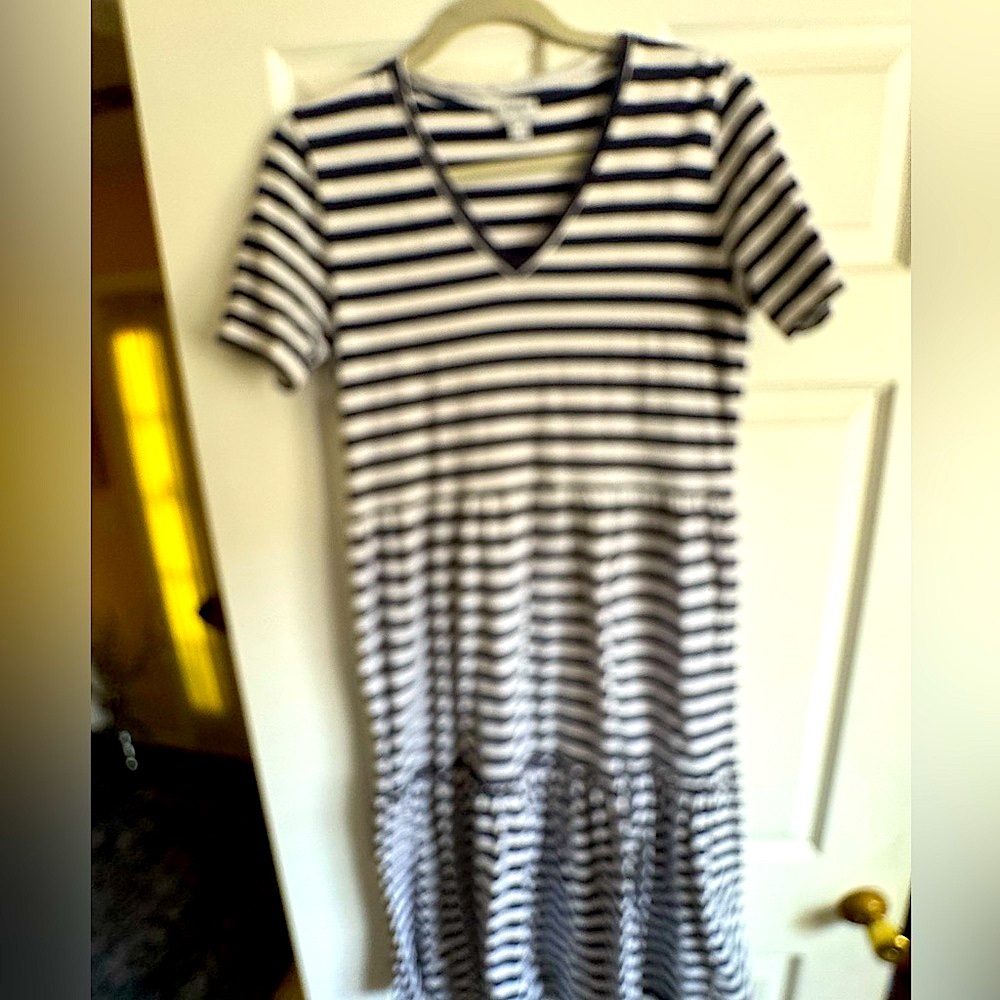 J. Crew Navy and White Striped Top